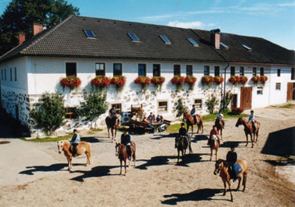 Rainbach im Mühlkreis Reiterhof Stoeglehner 빌라 외부 사진
